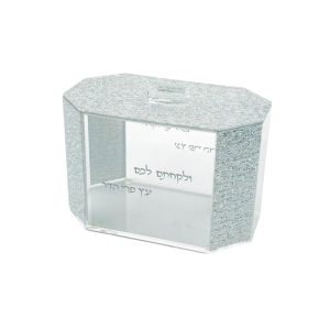 "SILVER" ACRILIC ETROG BOX 17X10X11 CM.