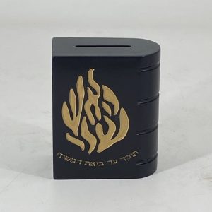 BLACK ACRILIC/GOLDEN TZDAKA BOX