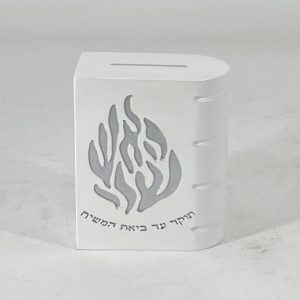 WHITE ACRILIC/SILVERED TZDAKA BOX