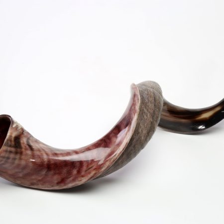 NATURAL FINISH YEMENITE MINI SHOFAR (Y22)