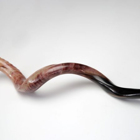 YEMENITE LARGE SHOFAR (YL)