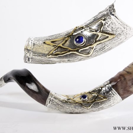 S STAR OF DAVID BLUE STONE YEMENITE MEDIUM SHOFAR ON STAND