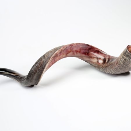 NATURAL FINISH YEMENITE MEDIUM SHOFAR (YMN)