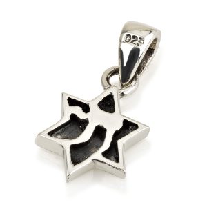 S 2 SIDES,CHAI INSIDE STAR OF DAVID SMALL PENDANT